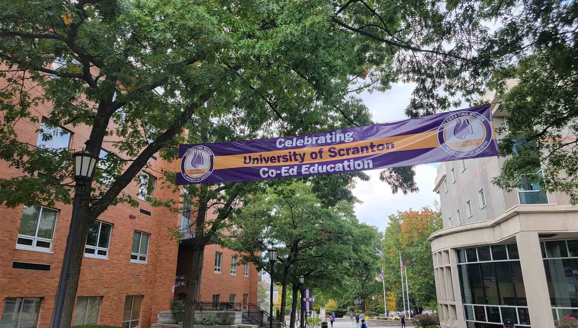 purple white and yellow banner across campus commons surrounded by green leafy trees